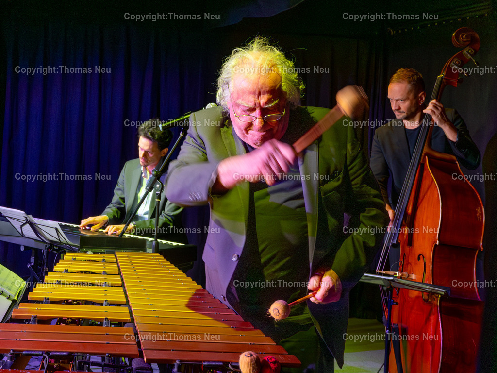 PiPaPo-Jazz-Dizzy-Krisch-fotografie-thomas-neu.jpg-20 | bbe, Dizzy Krisch im PiPaPoi, Vibraphone Diaries“ blätterte Dizzy Krisch in den musikalischen Tagebüchern der großen Vibraphonisten des Jazz.,Bild: THomas Neu