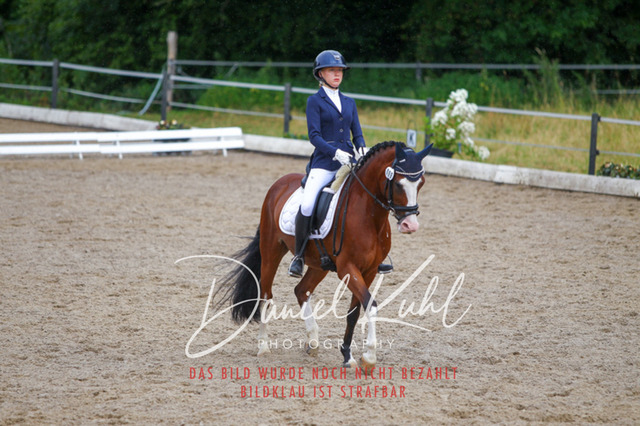 DKP47028 | Turniersportfotografie; Pferdefotografie; Dressurfotografie