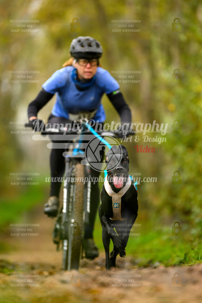 MompixPhotography_20TSB_E6_Bike-123 | mompixphotography