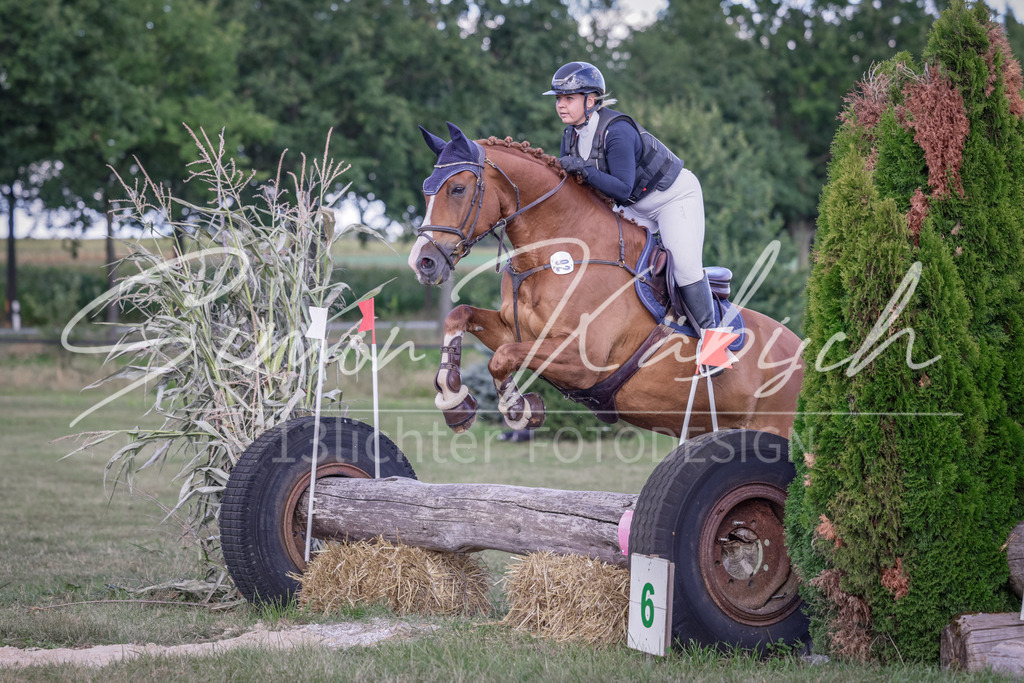 20250906-_3LI7038 | Tierfotografie Pferde, Hunde, Katzen, Haustiere.
Turnierfotografie Reitturniere, Reiten, Springreiten, Dressur in Hanau, dem Main-Kinzig-Kreis und dem Rhein-Main- Gebiet um Frankfurt