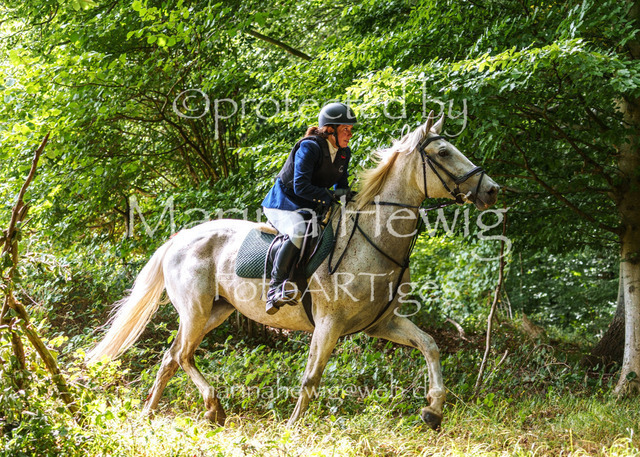 Jagd Knoop 26_MarinaHewigMCH02430 | Fotografie, FotoArt, PferdesportArt, Pferdesportfotografie, Landschaftsfotografie, Reisefotografie, Reise, Pferde - Realisiert mit Pictrs.com