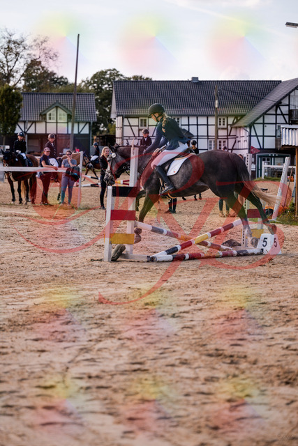 2026_10_03_Siefer-Hof_144928_Z81_27454822 | Professionelle Reitsport-, Turnier- und Eventfotografie von Robert Broda. Galerien mit ausgewählten und bearbeiteten Bildern direkt online ansehen und bestellen.