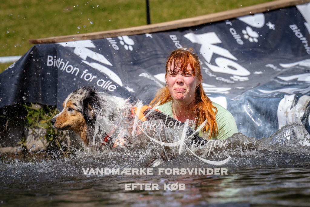 _ZZ973141025 | kk-dogfotos