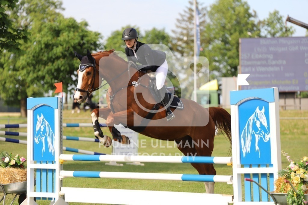 IMG_6942 | Pauline Ullmann Photography - Realisiert mit Pictrs.com