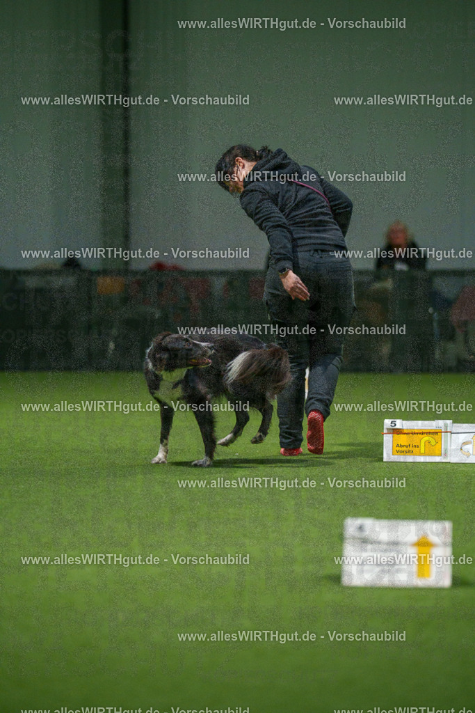 7R507277 | Professionelle Tierfotografie in Mönchengladbach von Daniel Wirth (allesWIRTHgut). Liebevolle & natürliche Bilder von Hunden & Katzen für unvergessliche Erinnerungen.