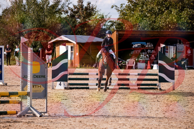 2026_10_03_Siefer-Hof_154649_Z81_65750641 | Professionelle Reitsport-, Turnier- und Eventfotografie von Robert Broda. Galerien mit ausgewählten und bearbeiteten Bildern direkt online ansehen und bestellen.