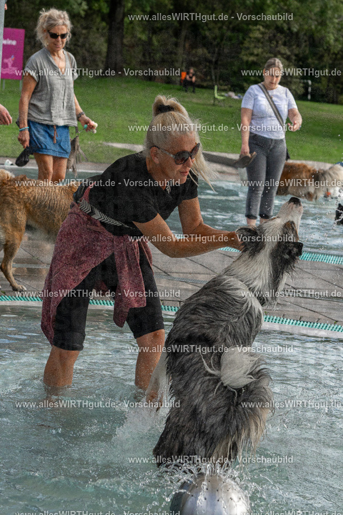 Hundeschwimmen_Volksbad_2026-allesWIRTHgut_Tierfotografie-2609061512-FAY07165 | Professionelle Tierfotografie in Mönchengladbach von Daniel Wirth (allesWIRTHgut). Liebevolle & natürliche Bilder von Hunden & Katzen für unvergessliche Erinnerungen.