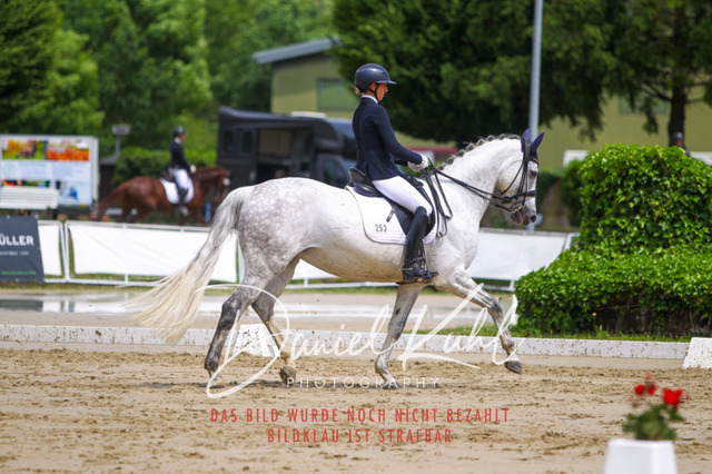 DKP40662 | Turniersportfotografie; Pferdefotografie; Dressurfotografie