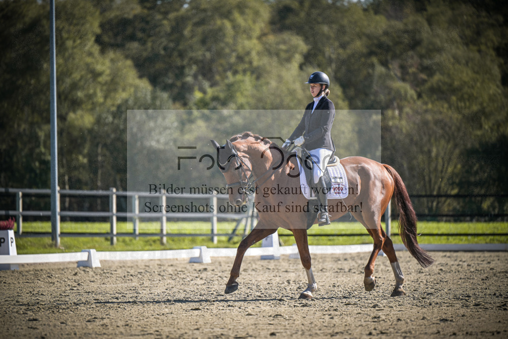 DOS_3189 | Entdecke hochwertige Reitturnierfotos von Foto Oger. Professionell, emotional und authentisch – jetzt Lieblingsmomente im Shop bestellen.Deutschlandweite Turnierfotografie. - Realisiert mit Pictrs.com