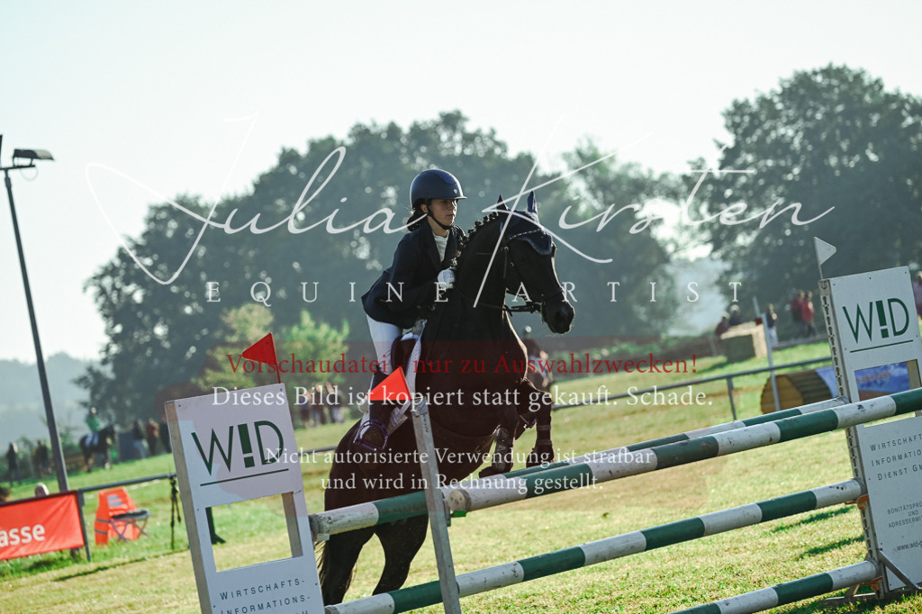 DSC_4089 | Pferde- und Turnierfotografie in Westsachsen. Pferdeportraits, Auftragszeichnungen und intuitive Kunst.