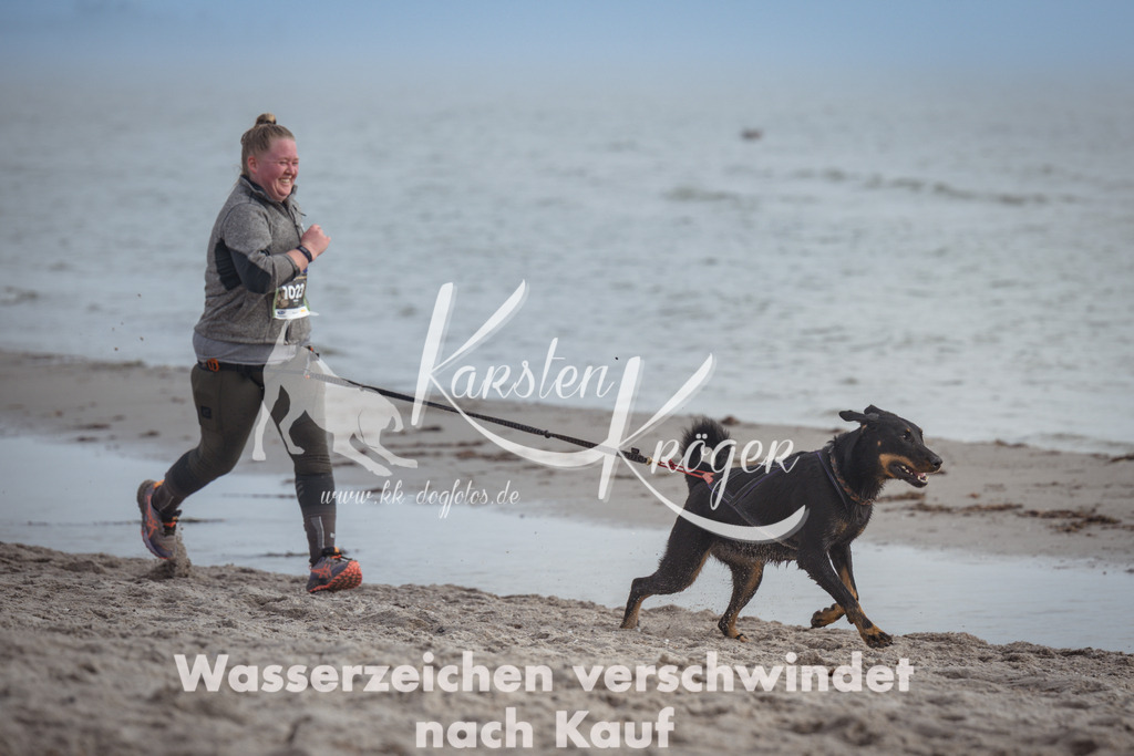 1200_ZZ93368 | kk-dogfotos