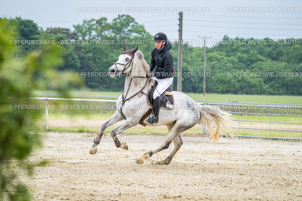 DSC01744 | Pferdegrafie