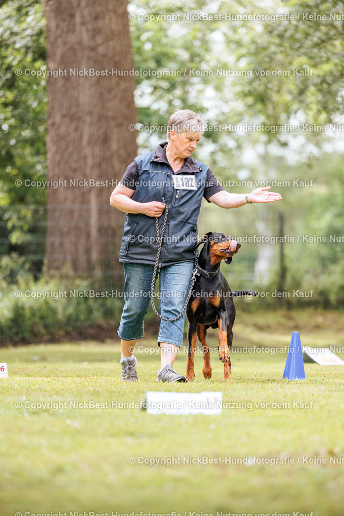RO-Blumenthal-2026-Nickbest-Hundefotografie-5260 | Dein Hund! Dein Moment! Deine Erinnerungen! Hundefotografie in Bremen Blumenthal. Ich fange die besonderen Momente deines Vierbeiners ein – ob Indoor mit Blitzanlage oder in der freien Natur. Sicher dir dein Moment und dein Termin für eure Erinnerungen.