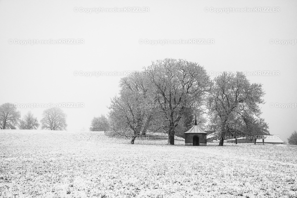 _J3A9475 | medienkrizzler - Realisiert mit Pictrs.com