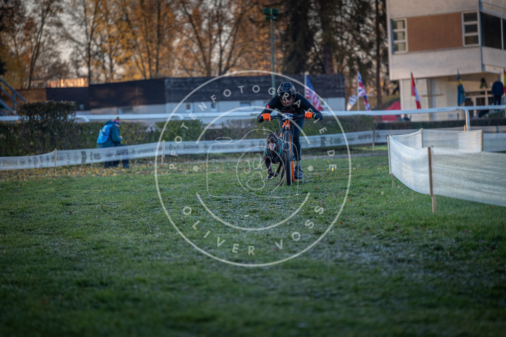 CaniXpix_0L8A1307 | Hundefotografie, Tierfotograf, Pfotenfotografie, Fotoshooting Hund, Hunde Portrait, Hundesport, Hundeportraits, Heideshooting, Hunde, Sportfotograf, Hundefotograf, Turnierhundsport, THS,  - Realisiert mit Pictrs.com