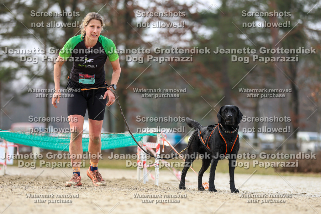 Dog Paparazzi - Strongdog North Mrz26-4729 | Dog Paparazzi Jeanette Grottendiek Fotografie & Videografie - Realisiert mit Pictrs.com