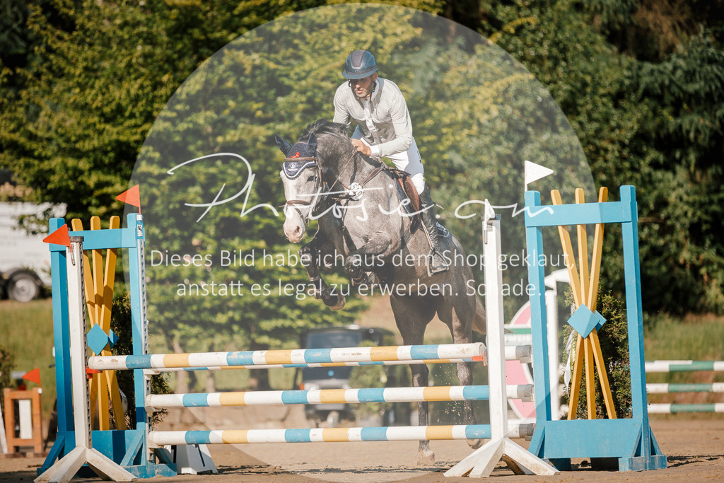 3I6A6304 | Stimmungsvolle Portraits und Reitsportfotografie im Ruhrgebiet und im Münsterland.

Pferdefotografie, Hundefotografie, Tierfotografie, Reportagen, Portraits von Tier und Mensch, Turnierfotografie in Bochum, Recklinghausen, Marl, Haltern am See, Dülmen.. - Realisiert mit Pictrs.com