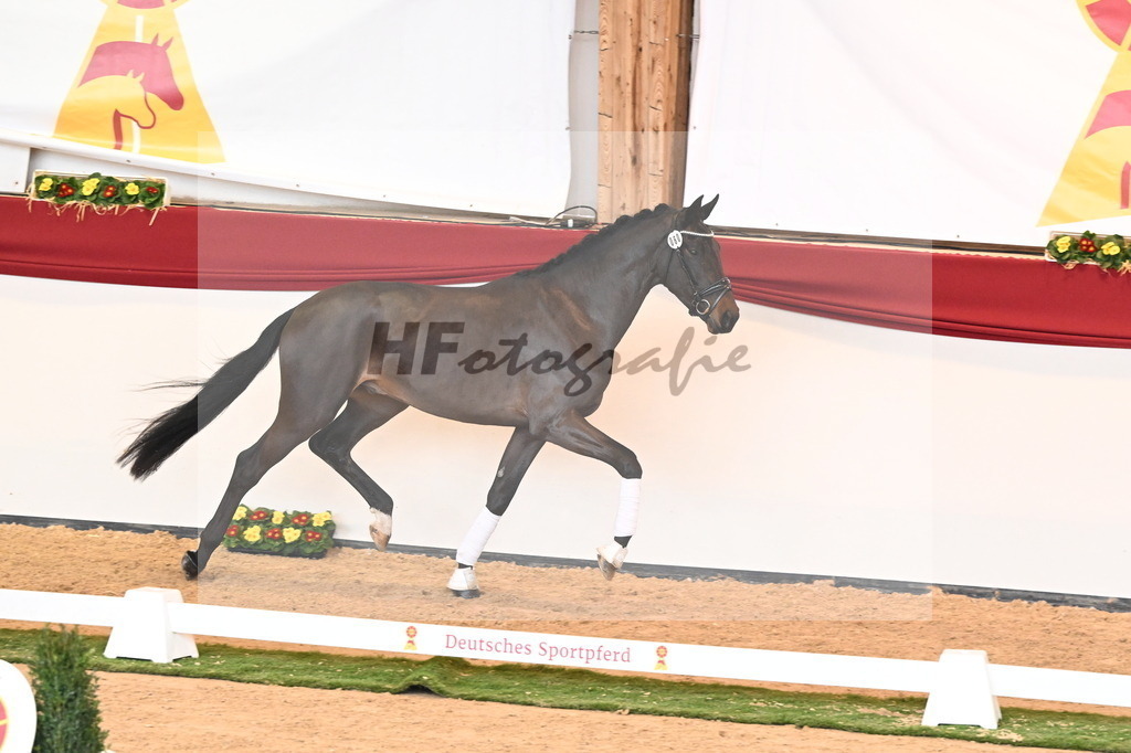 Kat.-Nr. 60 v. Raven_Klakow_2240752 | hf-fotografie - Realizzato con Pictrs.com