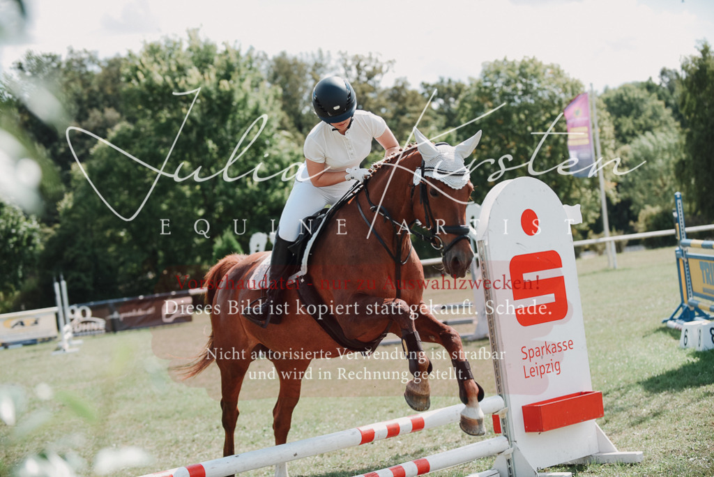 DSC_5773 | Pferde- und Turnierfotografie in Westsachsen. Pferdeportraits, Auftragszeichnungen und intuitive Kunst.