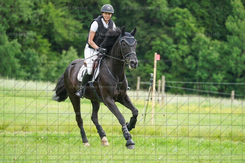 20240518-FAH03638 | Turnierbilder von Niederseon, Turnierfotografen Bayern, Fotoagentur Herrmann, Geländebilder, Reitsportfotografie