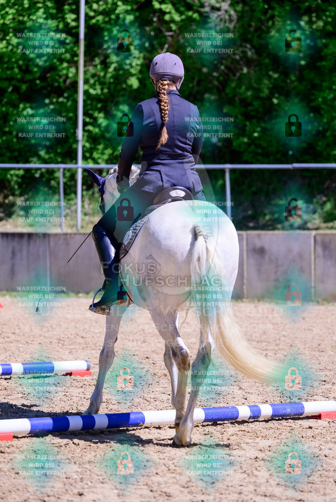 01052026-Giesenbach-02-Stiltrail-0132 | Fokus Hufschlag Fotografie - Realisiert mit Pictrs.com