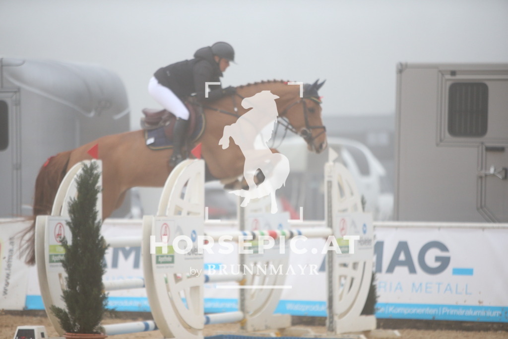 PP012469 | Willkommen bei Brunnmayr - Design & Fotografie – Ihrem Spezialisten für Reitturniere und Pferdeveranstaltungen in Oberösterreich, Salzburg und Bayern! Seit über 17 Jahren sind wir leidenschaftlich dabei.