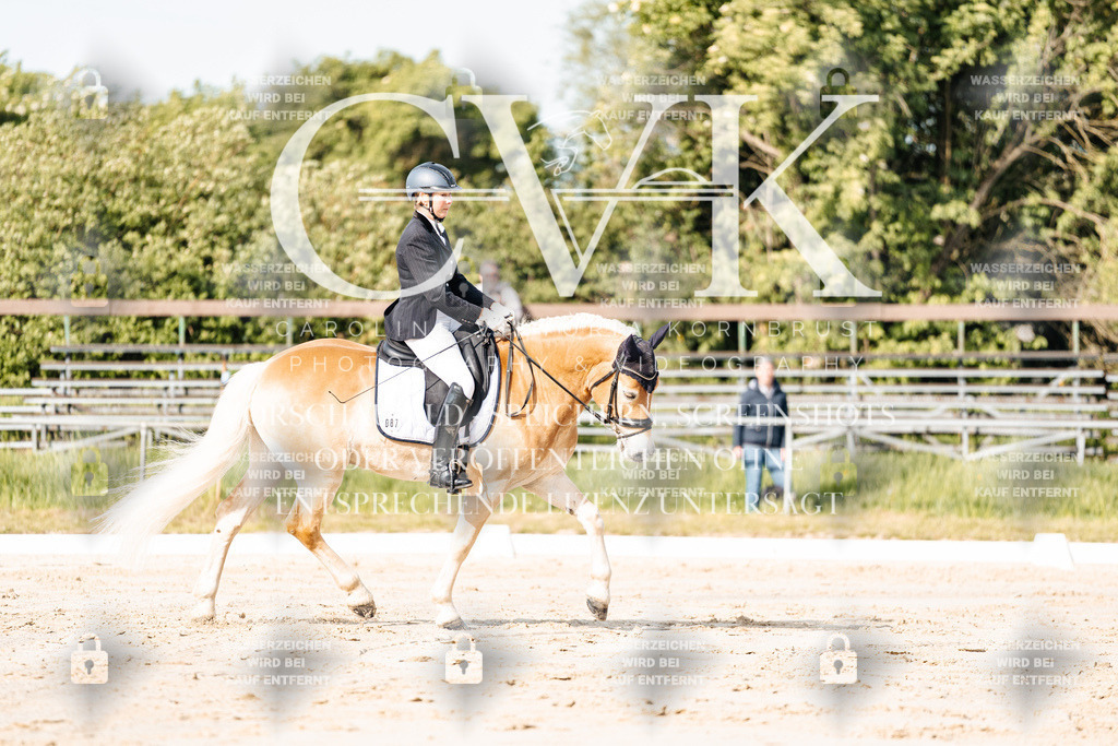 CK900114 | Turnierfotografie Pferdefotografie Trier Rheinland-Pfalz Pferdesport Reitsport Tierfotografie Sportfotografie Pferdevideo Pferdevideografie Equestrianvideography equestrianphotography  - Realisiert mit Pictrs.com