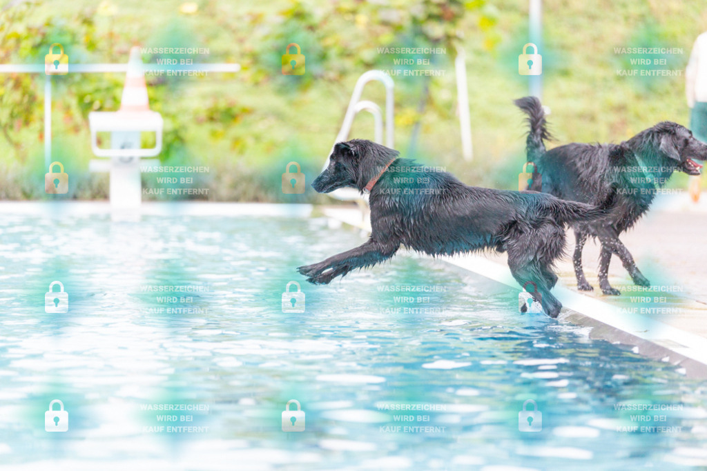 _HP_7304_1000o | HetPix, HetPix Fotodesign, Fotografie, Fotodesign, Webshop, Sportfotografie, Portraitfotografie, Onlineshop, Sportfotografie, Polch, Motorsportfotografie, Eventfotografie