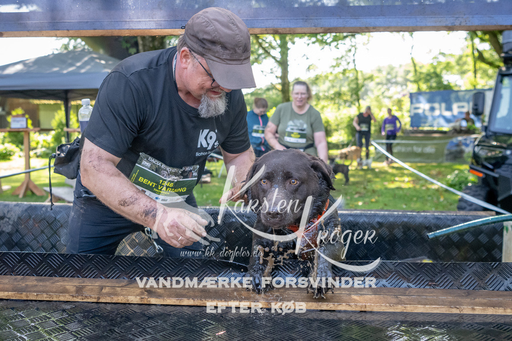 1540_ZZ92646 | kk-dogfotos