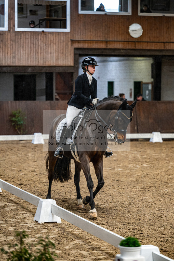20240310-DOS_7903 | Entdecke hochwertige Reitturnierfotos von Foto Oger. Professionell, emotional und authentisch – jetzt Lieblingsmomente im Shop bestellen.Deutschlandweite Turnierfotografie. - Realisiert mit Pictrs.com