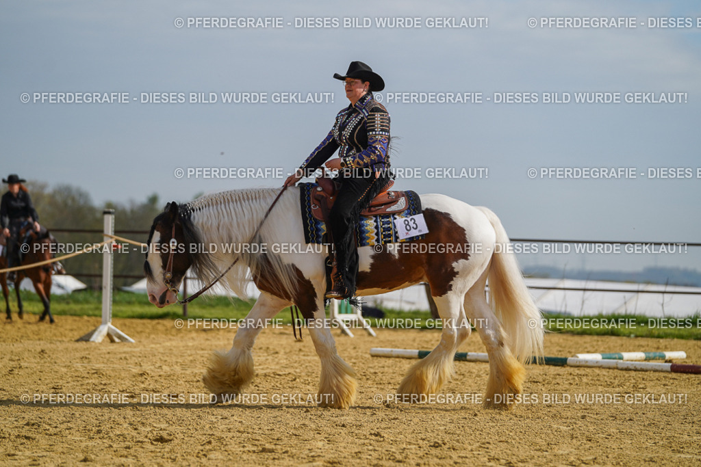 DSC01673 | Pferdegrafie