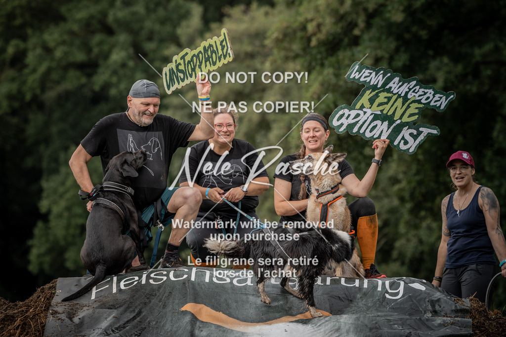 nelerasche_Wingst_Sa1300-1330_201 | nelerasche