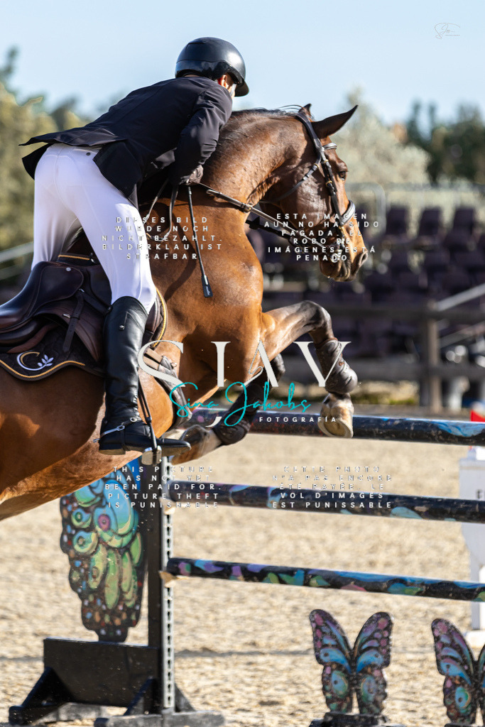 IMG_0366 | s-jay-photography - Realisiert mit Pictrs.com