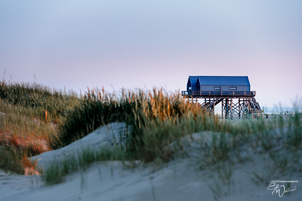 20230624-211505 NORDSEE SPO _196-1 | Herzlich willkommen auf meiner Seite! Ich bin Elke Wallnisch, Deine Fotografin für lichtstarke Momente. Der Name steht für alles, was mich mit der Fotografie verbindet: Das Licht und seine machtvolle Wirkung auf eine Situation oder unsere Stimmung - Realisiert mit Pictrs.com