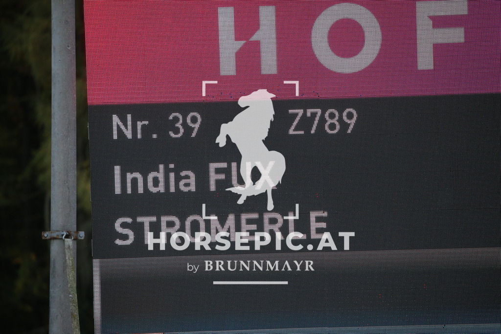 DL2Q6499 | Willkommen bei Brunnmayr - Design & Fotografie – Ihrem Spezialisten für Reitturniere und Pferdeveranstaltungen in Oberösterreich, Salzburg und Bayern! Seit über 17 Jahren sind wir leidenschaftlich dabei.