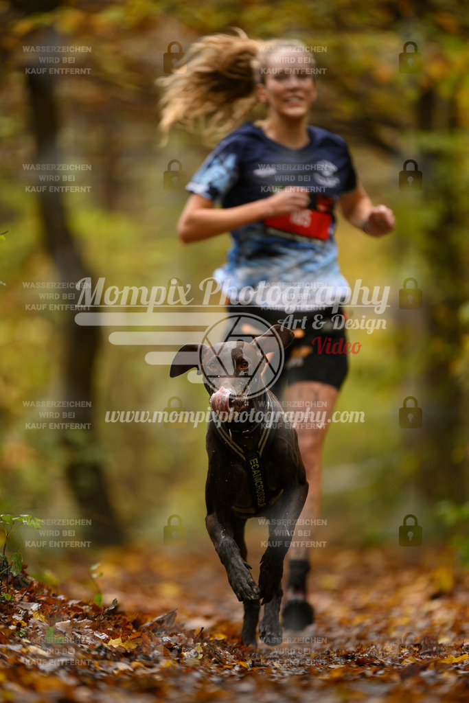 MompixPhotography_CD7S_DI_CCL-17 | mompixphotography