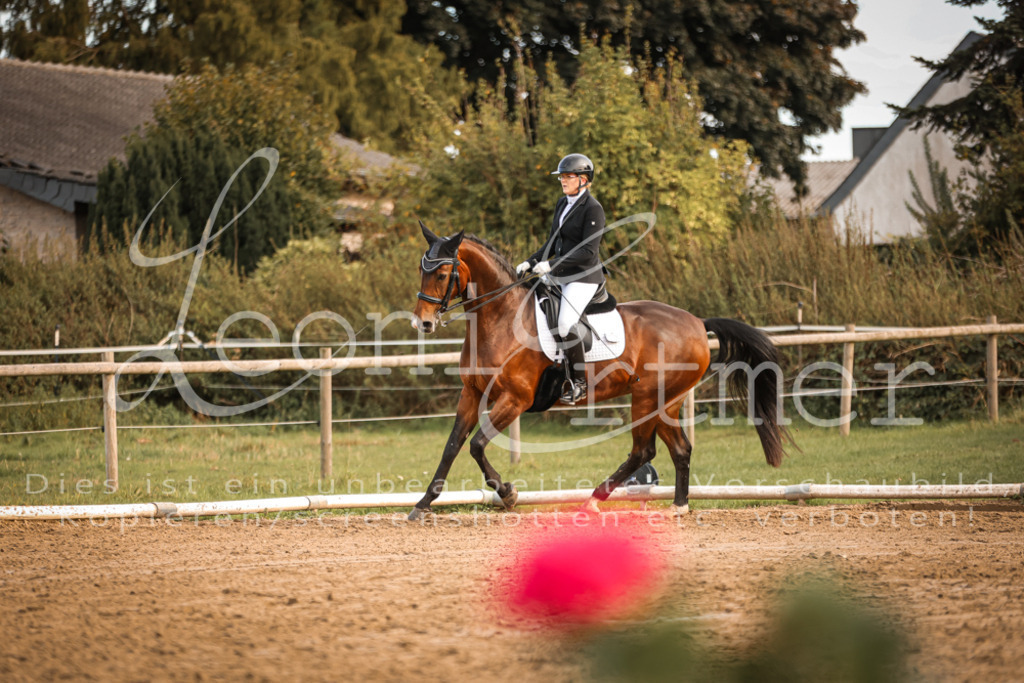 17.SoDrM00427 | Leoni Ertmer Photography - Realisiert mit Pictrs.com