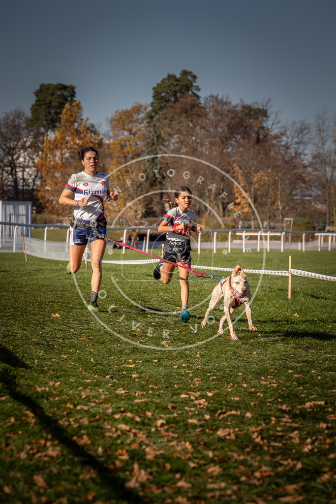 CaniXpix_0L8A6965 | Hundefotografie, Tierfotograf, Pfotenfotografie, Fotoshooting Hund, Hunde Portrait, Hundesport, Hundeportraits, Heideshooting, Hunde, Sportfotograf, Hundefotograf, Turnierhundsport, THS,  - Realisiert mit Pictrs.com