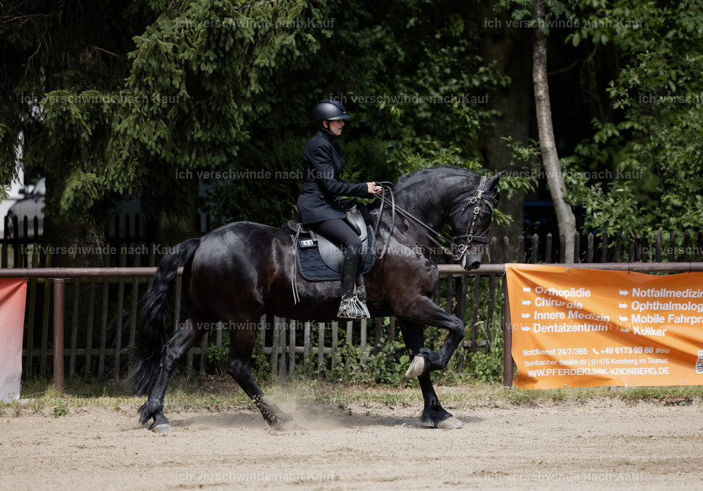 KlasseM_stoibphotography_C2_C8986.CR3 | working equitationturnier fotograf videograf stoibphotography marixx film working equitation deutschland reitsport turnierfotografie eventfotografie equestrian events