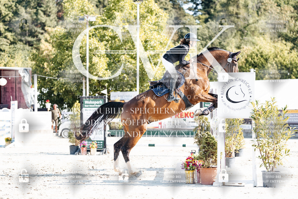CK901936 | Turnierfotografie Pferdefotografie Trier Rheinland-Pfalz Pferdesport Reitsport Tierfotografie Sportfotografie Pferdevideo Pferdevideografie Equestrianvideography equestrianphotography  - Realisiert mit Pictrs.com