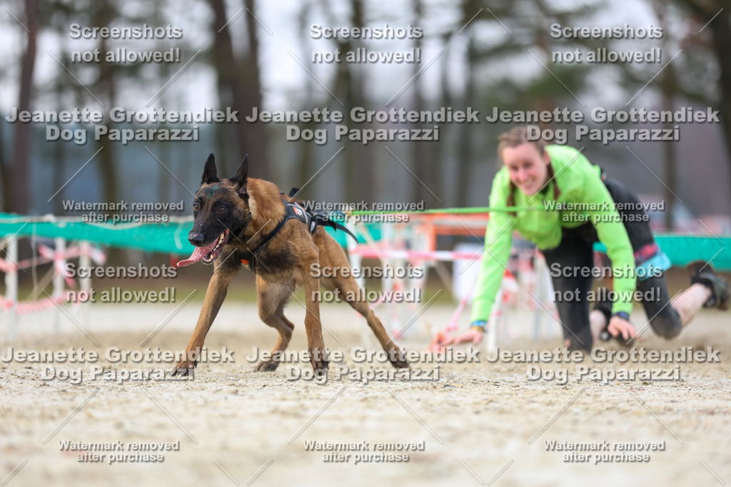 Dog Paparazzi - Strongdog North Mrz26-3937 | Dog Paparazzi Jeanette Grottendiek Fotografie & Videografie - Realisiert mit Pictrs.com