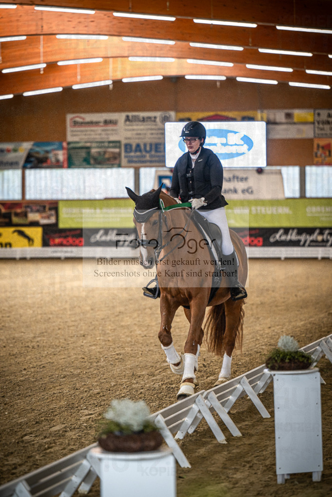 DOS_0152 | Entdecke hochwertige Reitturnierfotos von Foto Oger. Professionell, emotional und authentisch – jetzt Lieblingsmomente im Shop bestellen.Deutschlandweite Turnierfotografie. - Realisiert mit Pictrs.com