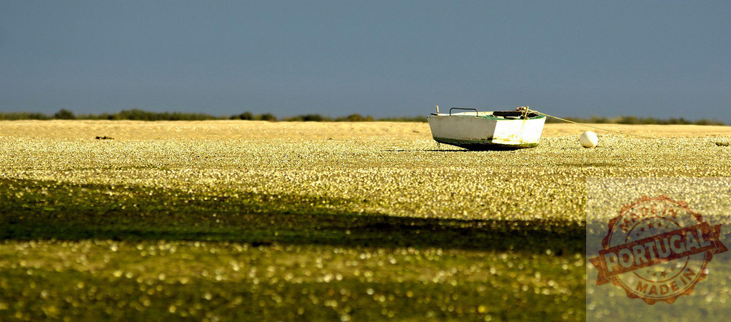 Small boat resting on a vast tideland | Boat and buoy resting on a golden tideland under a cloudy sky, representing peace - Realisiert mit Pictrs.com