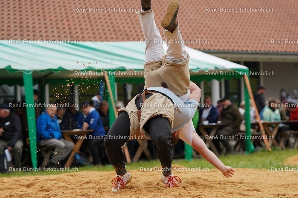 20220424-DSC09600 | René Burch leidenschaftlicher Fotograf aus Kerns in Obwalden.  Hier finden sie Sport, Landschaft und Natur Fotografie.
 - Realisiert mit Pictrs.com