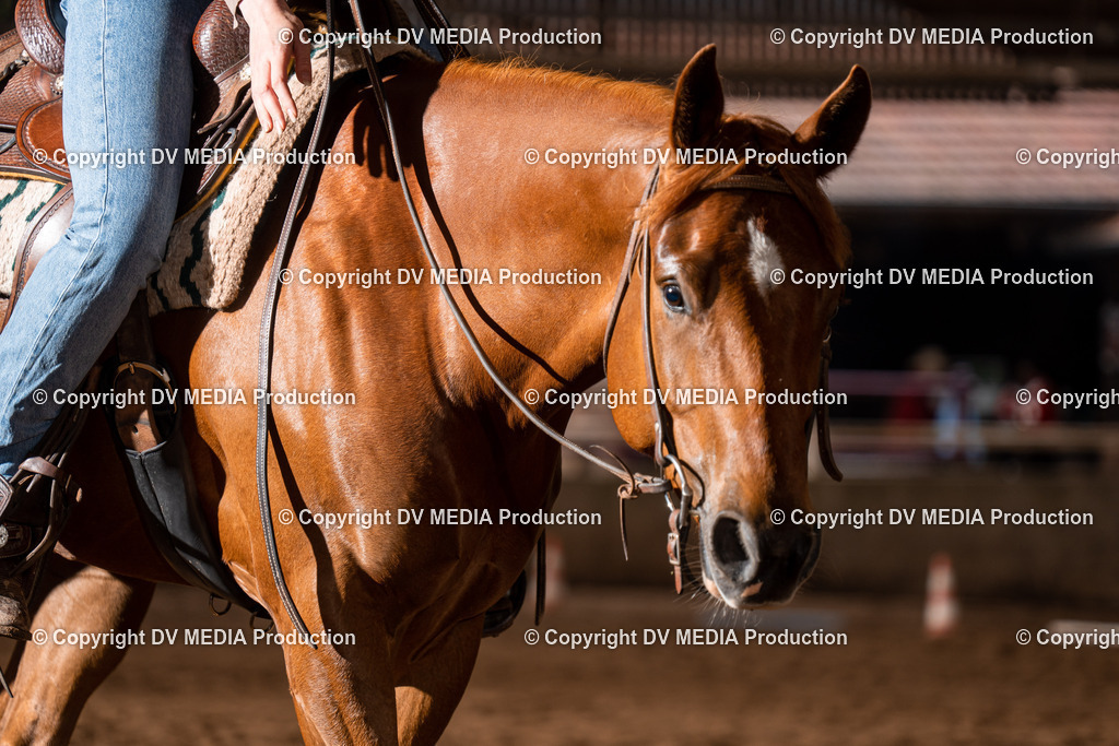 Erbach Tag 2-259 | dv-media-shop - Realisiert mit Pictrs.com