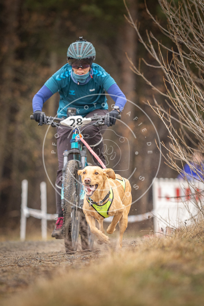 DV3A3319 | Hundefotografie, Tierfotograf, Pfotenfotografie, Fotoshooting Hund, Hunde Portrait, Hundesport, Hundeportraits, Heideshooting, Hunde, Sportfotograf, Hundefotograf, Turnierhundsport, THS,  - Realisiert mit Pictrs.com