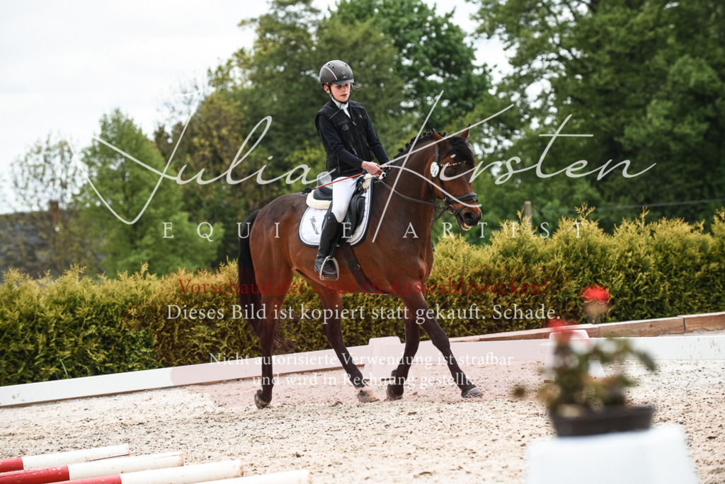 20230518_JK-Röhrsdorf-10-727 | Pferde- und Turnierfotografie in Westsachsen. Pferdeportraits, Auftragszeichnungen und intuitive Kunst.