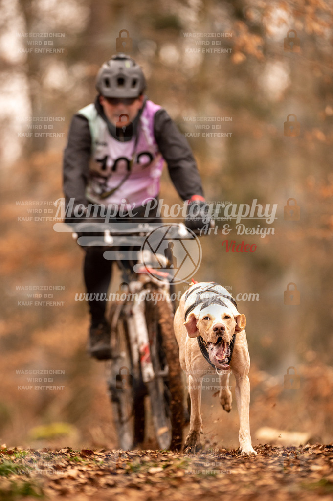 AKM_ST_2023_SAM_Bike-106 | PayLife