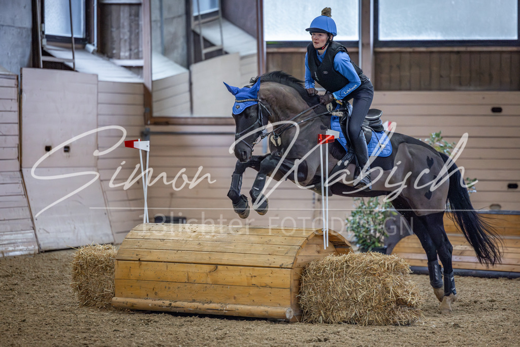 20260221-_3LI9274 | Tierfotografie Pferde, Hunde, Katzen, Haustiere.
Turnierfotografie Reitturniere, Reiten, Springreiten, Dressur in Hanau, dem Main-Kinzig-Kreis und dem Rhein-Main- Gebiet um Frankfurt
