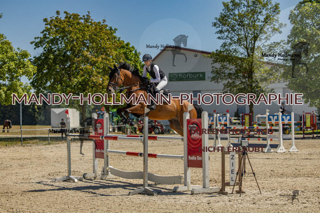 26-7-24 SPF M+-854 | mandyhollmannphotographie